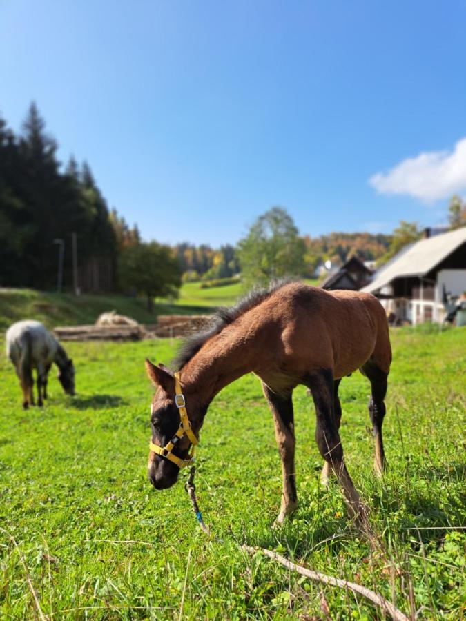 Tourist Farm Pr' Maretc Lägenhet Bohinjska Bistrica Exteriör bild