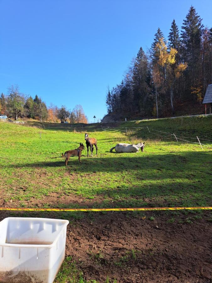 Tourist Farm Pr' Maretc Lägenhet Bohinjska Bistrica Exteriör bild