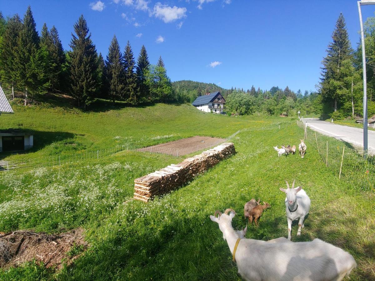 Tourist Farm Pr' Maretc Lägenhet Bohinjska Bistrica Exteriör bild
