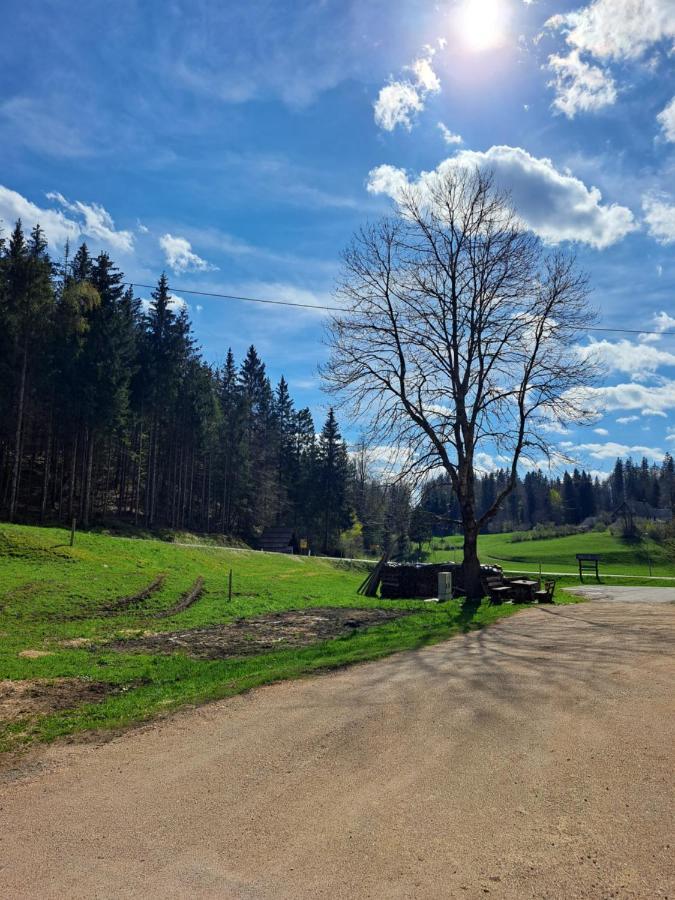 Tourist Farm Pr' Maretc Lägenhet Bohinjska Bistrica Exteriör bild