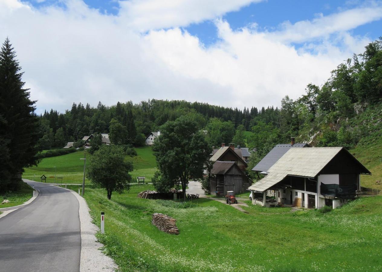 Tourist Farm Pr' Maretc Lägenhet Bohinjska Bistrica Exteriör bild