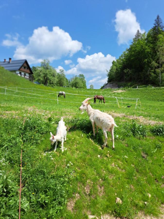 Tourist Farm Pr' Maretc Lägenhet Bohinjska Bistrica Exteriör bild